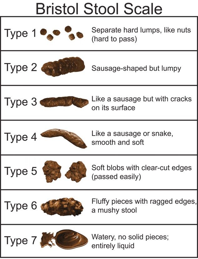 Bristol Stool Scale